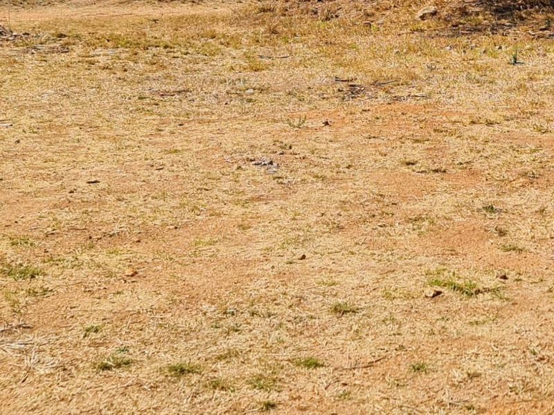 A view of the vacant residential land featuring dry grass and natural terrain.