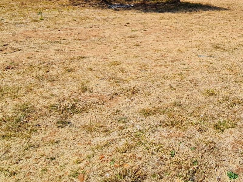 A view of the vacant residential land featuring dry grass and natural terrain.