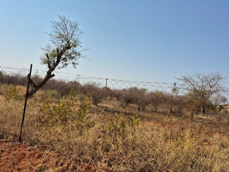 Vacant Land for Sale – Excellent Business & Investment Opportunity - Photo 7