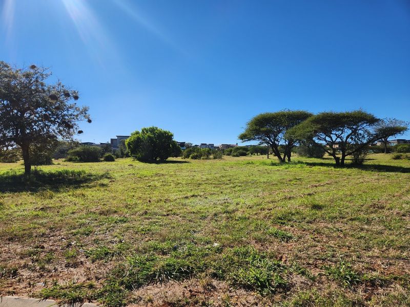 A view of a vacant residential plot featuring established native trees and open grassy terrain under a clear blue sky.