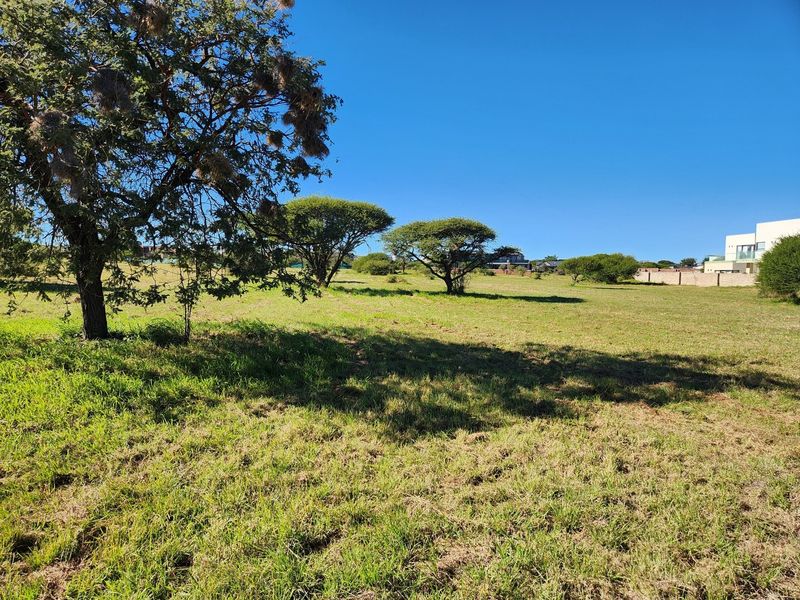 A spacious, gently sloping vacant residential plot featuring established indigenous trees and natural grassland, offering a peaceful setting for future development.