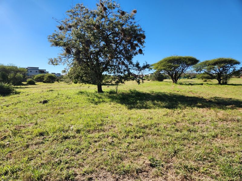 A view of a vacant residential plot featuring established trees and natural grassland, suitable for future development.
