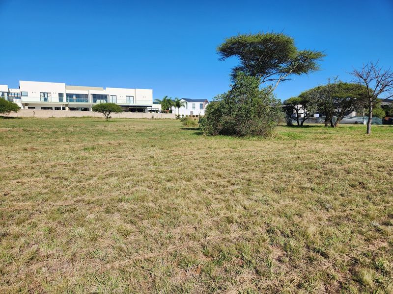 A view of a vacant residential plot featuring natural grassland and established indigenous trees, with neighboring modern homes visible in the background.
