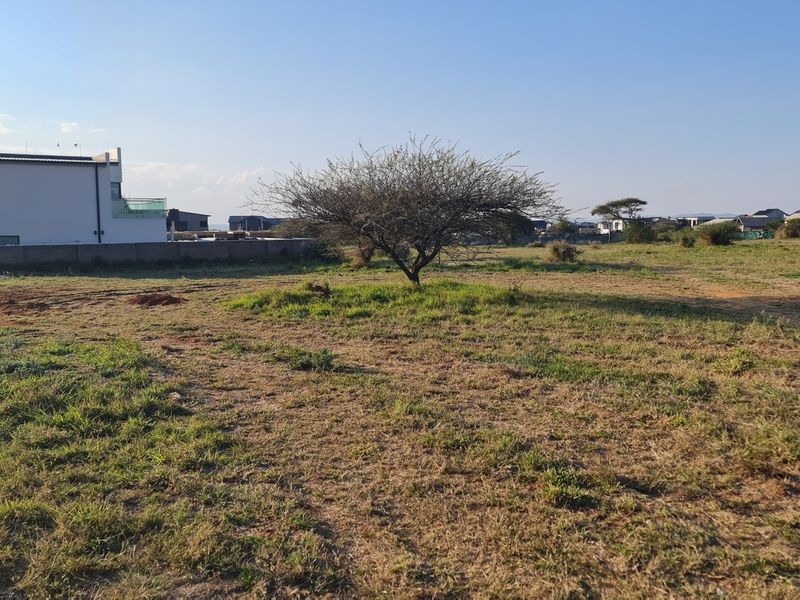 A vacant residential plot featuring natural grass cover, a central tree, and a perimeter boundary wall in a developed neighborhood setting.