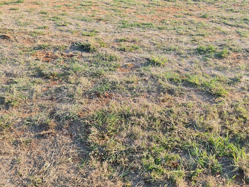 A view of the vacant residential land featuring natural grass and soil coverage.