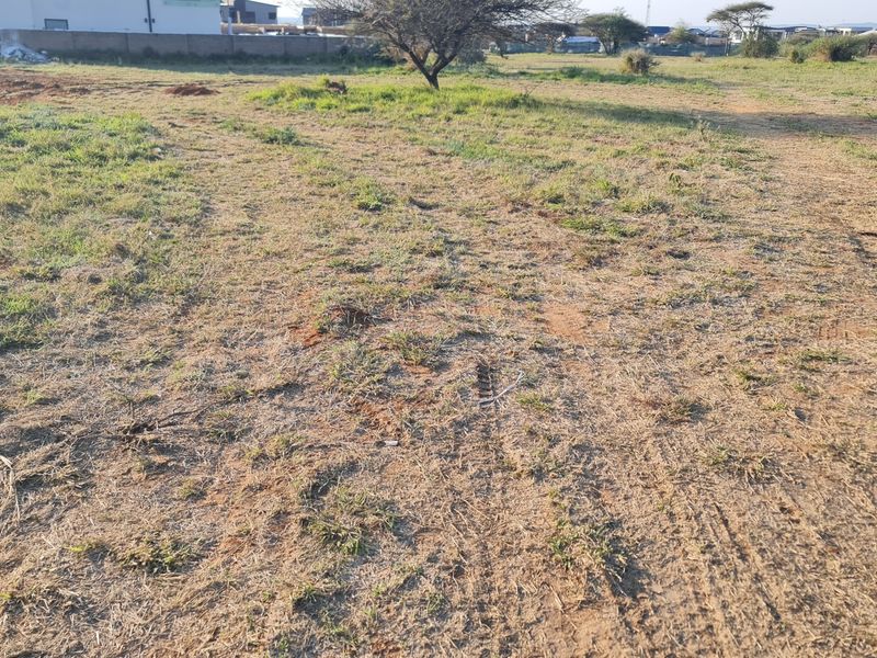 A view of the vacant residential land plot featuring natural grass cover and a perimeter boundary wall in the background.