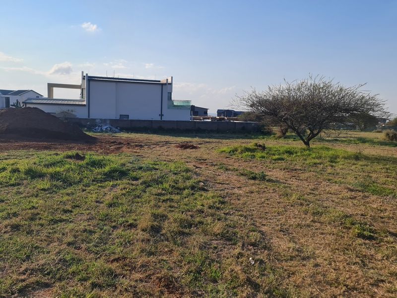 A view of a vacant residential plot featuring natural grass, a mature tree, and a boundary wall with neighboring properties in the background.