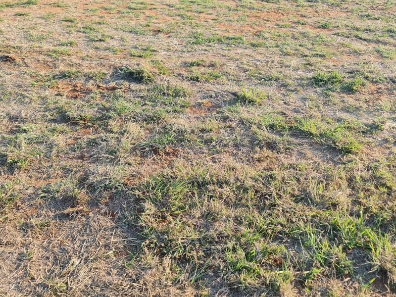 A view of the vacant residential land featuring natural grass and soil coverage.