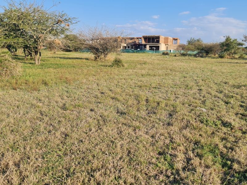 A view of a vacant residential plot featuring natural grassland and indigenous trees, with a partially constructed building visible in the background.