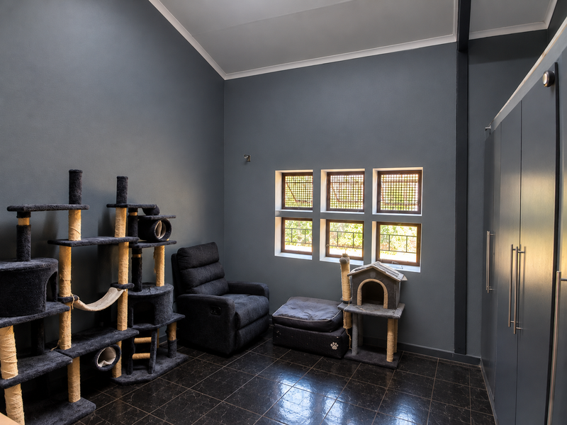 A spacious bedroom featuring dark grey walls, vaulted ceilings, tiled flooring, and built-in cupboards, offering a modern and clean aesthetic.