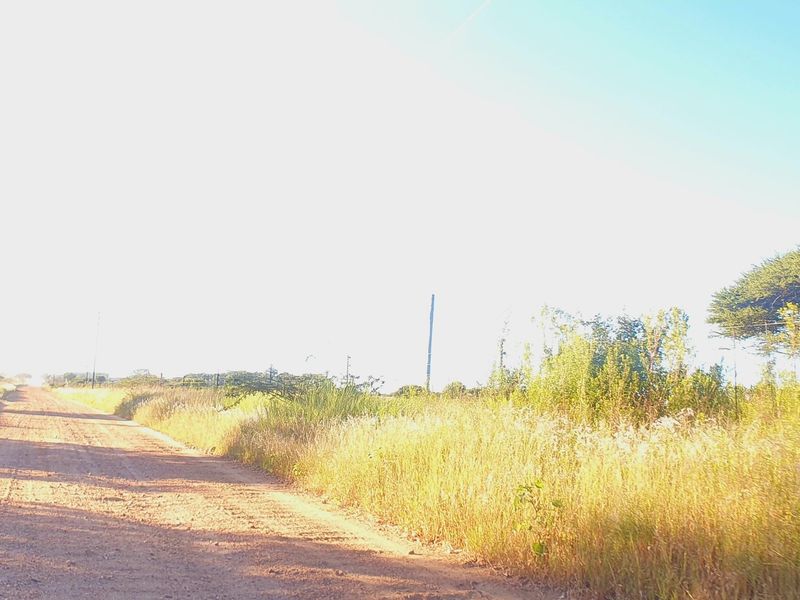 A view of a dirt road leading towards a vacant residential plot with natural vegetation, wire fencing, and a utility pole.