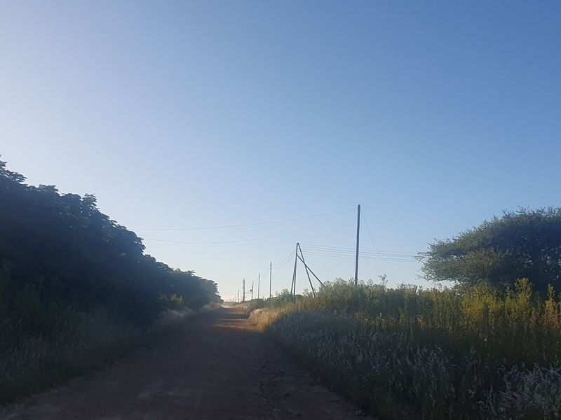 A view of a dirt road leading towards the property, featuring surrounding vegetation and overhead power lines.