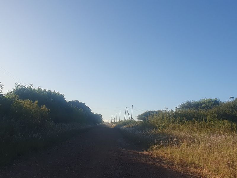 A view of an unpaved access road bordered by natural vegetation and wire fencing, with overhead power lines visible.