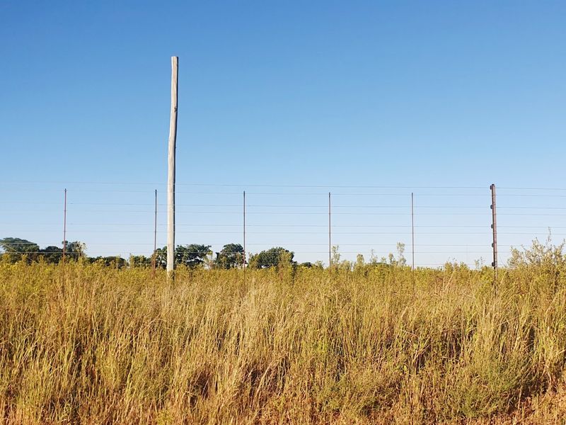 A view of a vacant residential plot featuring natural grass coverage and perimeter wire fencing with a utility pole.