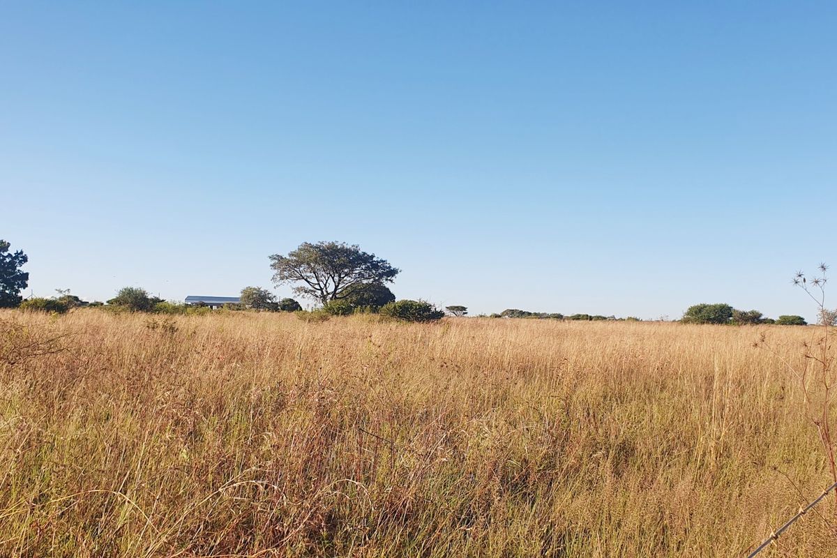 A view of a vacant residential plot featuring natural grassland, mature trees, and perimeter wire fencing.