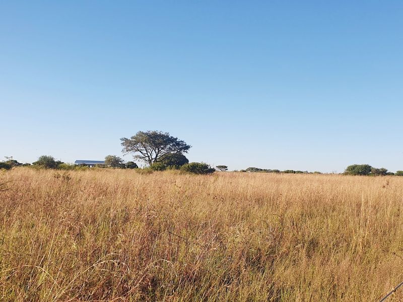A view of a vacant residential plot featuring natural grassland, mature trees, and perimeter wire fencing.