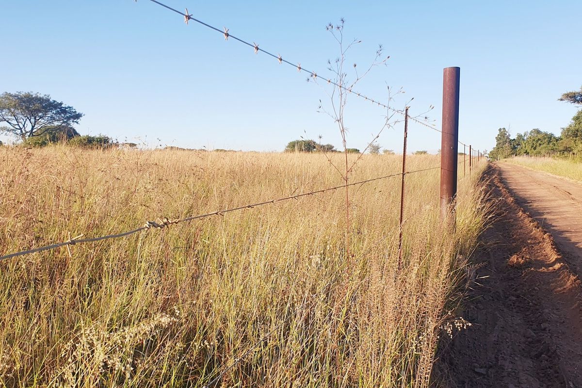 A view of a vacant residential plot bordered by a dirt road and a barbed wire fence.