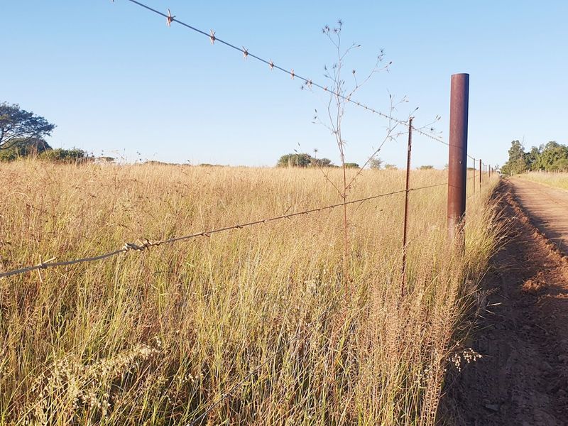 A view of a vacant residential plot bordered by a dirt road and a barbed wire fence.