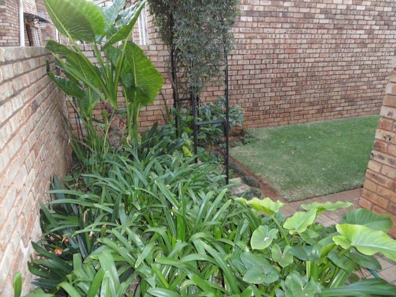 A private rear garden area featuring established greenery, a small lawn, and brick boundary walls.