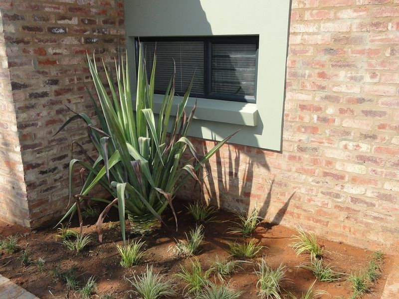 A close-up view of a face brick exterior wall featuring a modern aluminium window frame and a landscaped garden bed.
