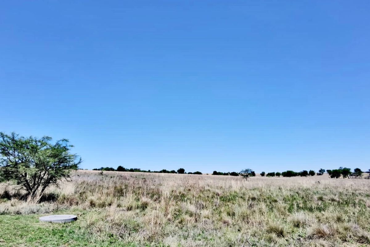 Stand for sale - Photo 2