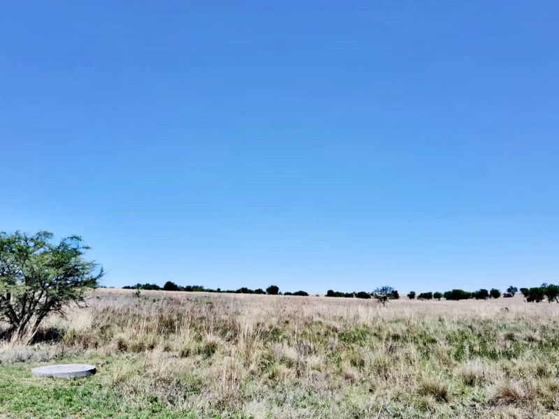 Stand for sale - Photo 2