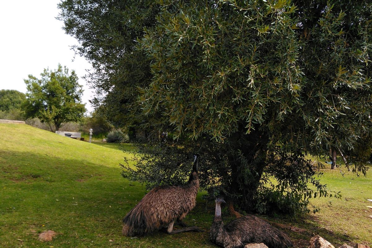 Peace and tranquillity on your doorstep! - Photo 5