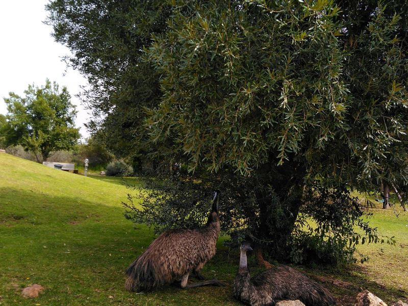 Peace and tranquillity on your doorstep! - Photo 5