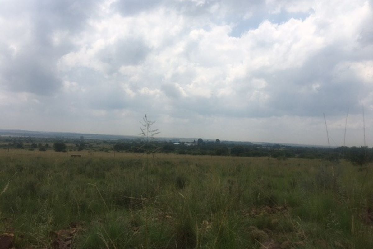 3.84 hectare smallholding in Van der Hoffpark - Photo 2