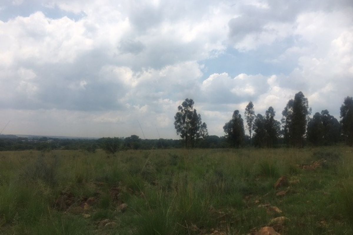 3.84 hectare smallholding in Van der Hoffpark - Photo 3