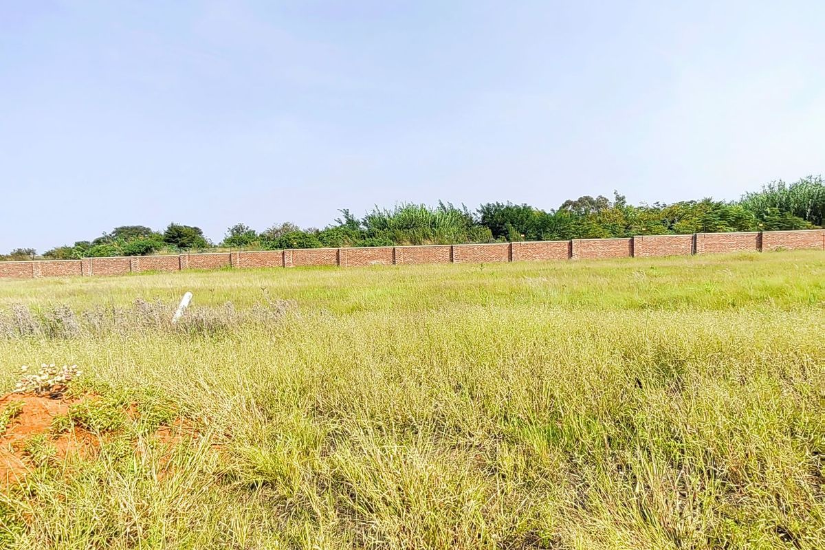 Hillside Estate! - Photo 2