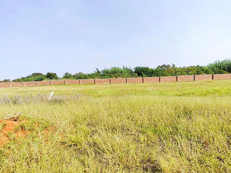 Hillside Estate! - Photo 2