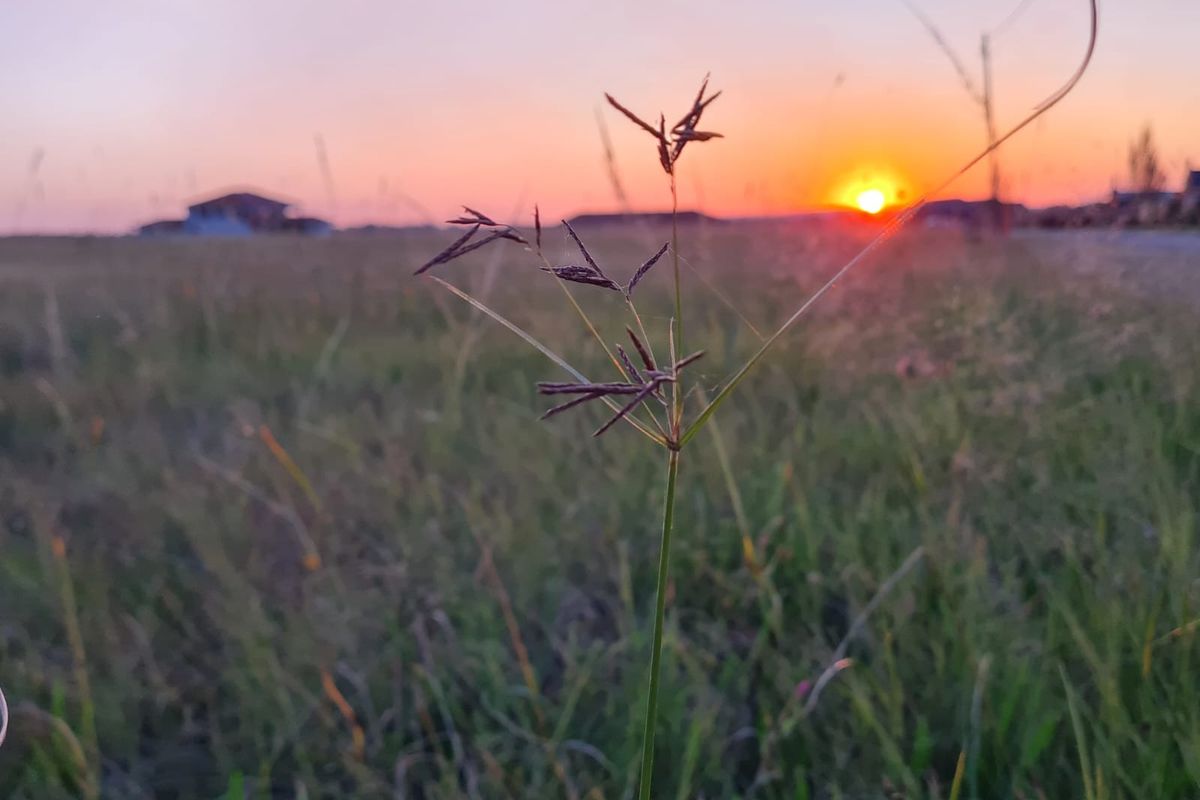 Vacant Land in Ailanto Country Estate - Photo 2