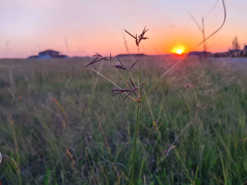 Vacant Land in Ailanto Country Estate - Photo 2