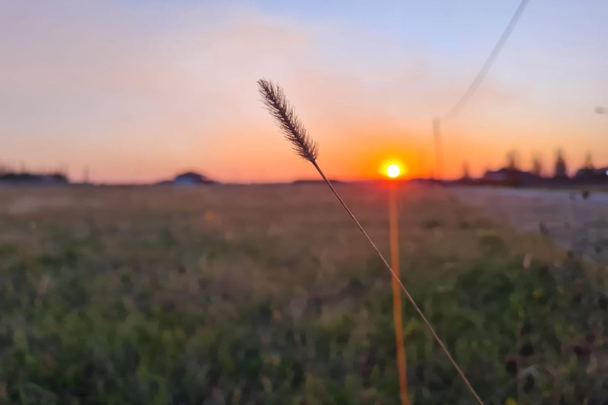 Vacant Land in Ailanto Country Estate - Photo 4