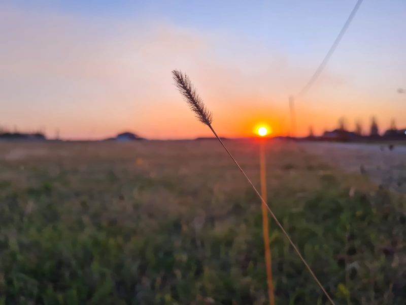 Vacant Land in Ailanto Country Estate - Photo 4