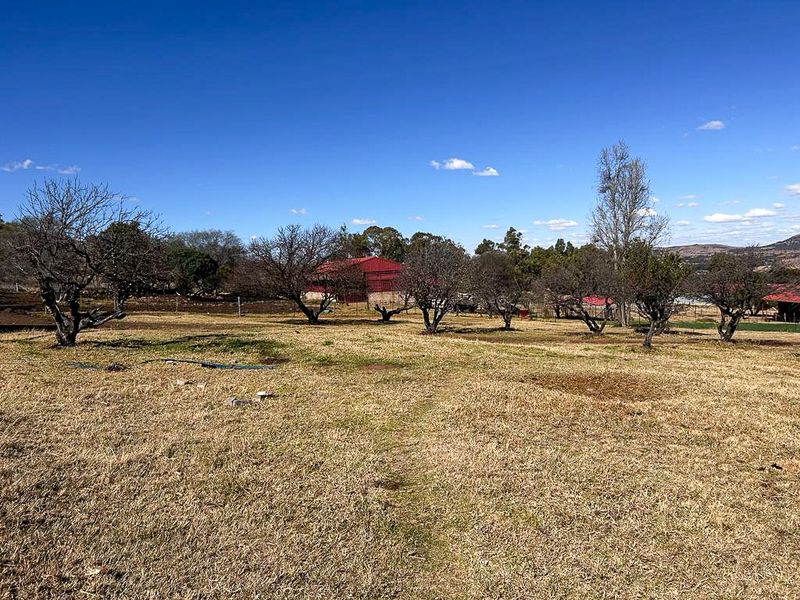 Farm with picturesque view - Photo 10