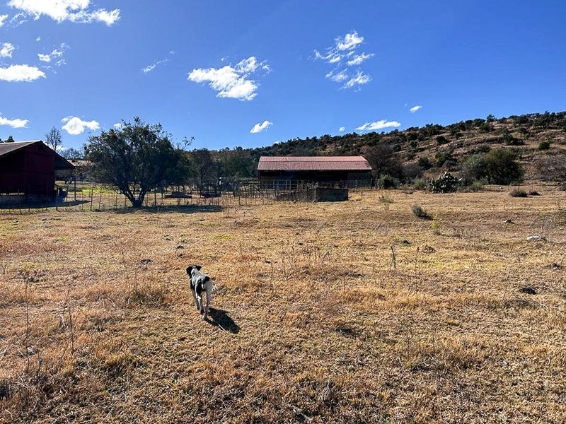 Farm with picturesque view - Photo 9
