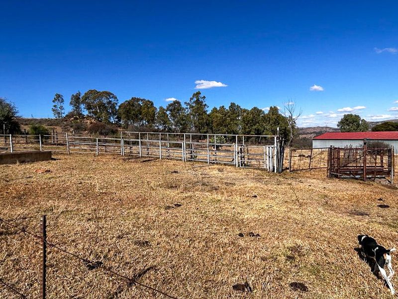 Farm with picturesque view - Photo 5