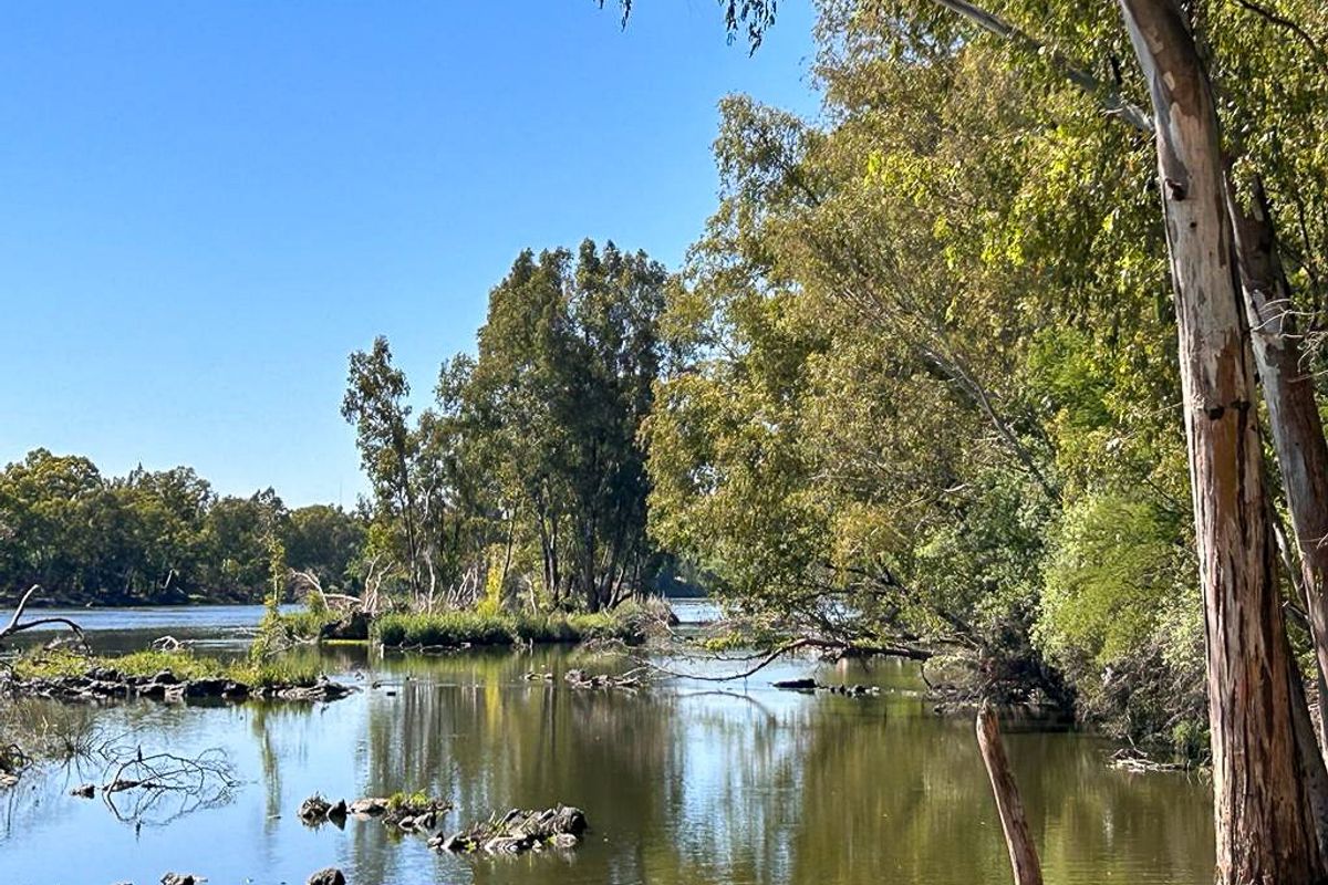 Create your own personal haven or continue the legacy of this fishing and camping resort - Photo 3