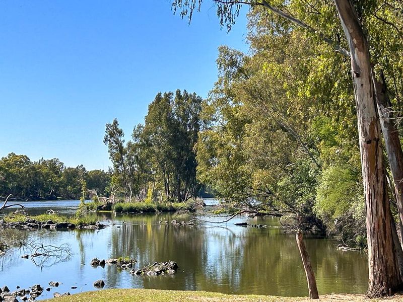 Create your own personal haven or continue the legacy of this fishing and camping resort - Photo 3