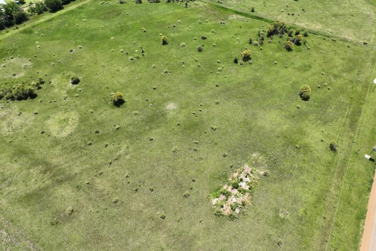 Prime Location! - Photo 4