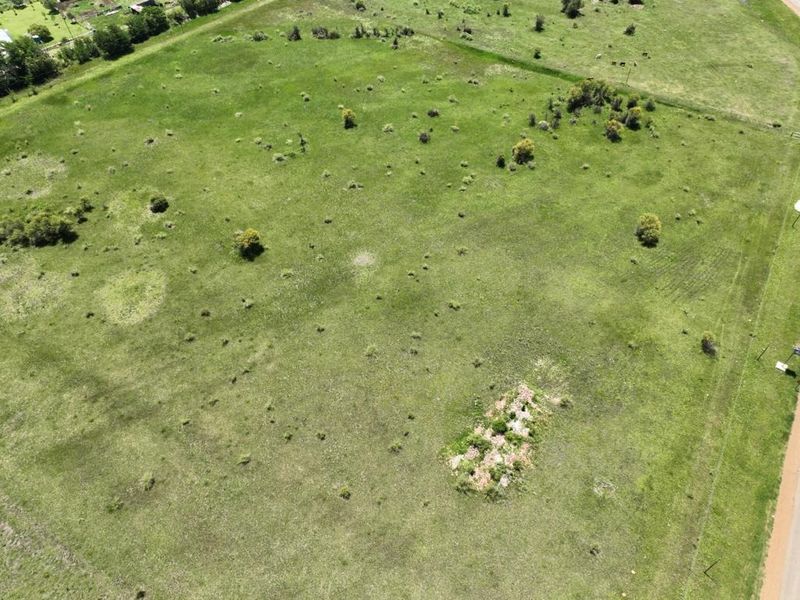 Prime Location! - Photo 4