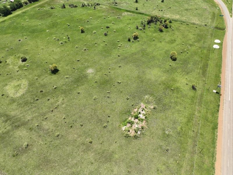 Prime Location! - Photo 2