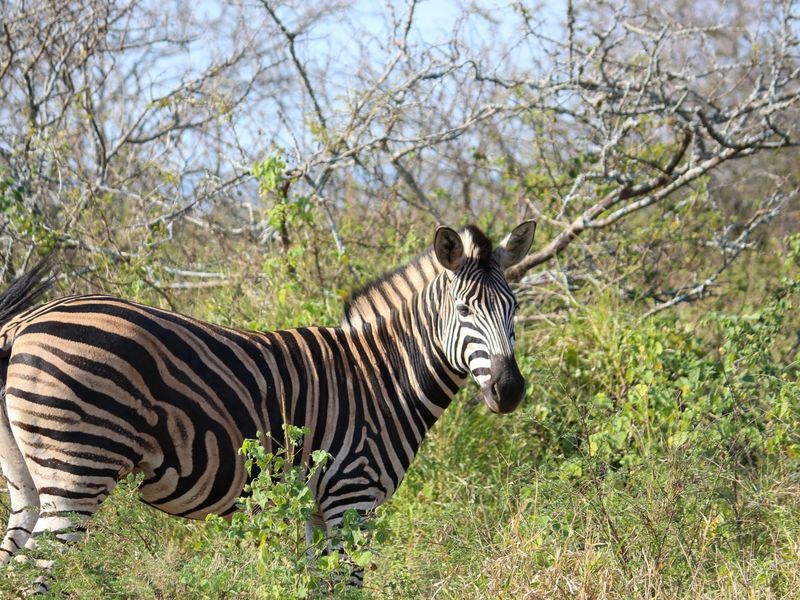 A unique opportunity for a dream home. - Photo 9