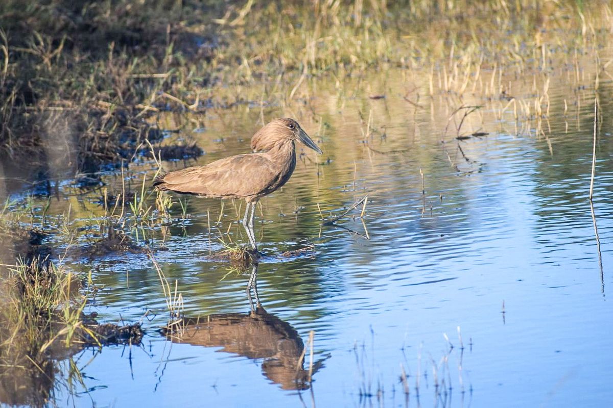 A unique opportunity for a dream home. - Photo 2