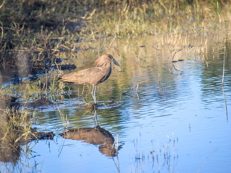 A unique opportunity for a dream home. - Photo 2