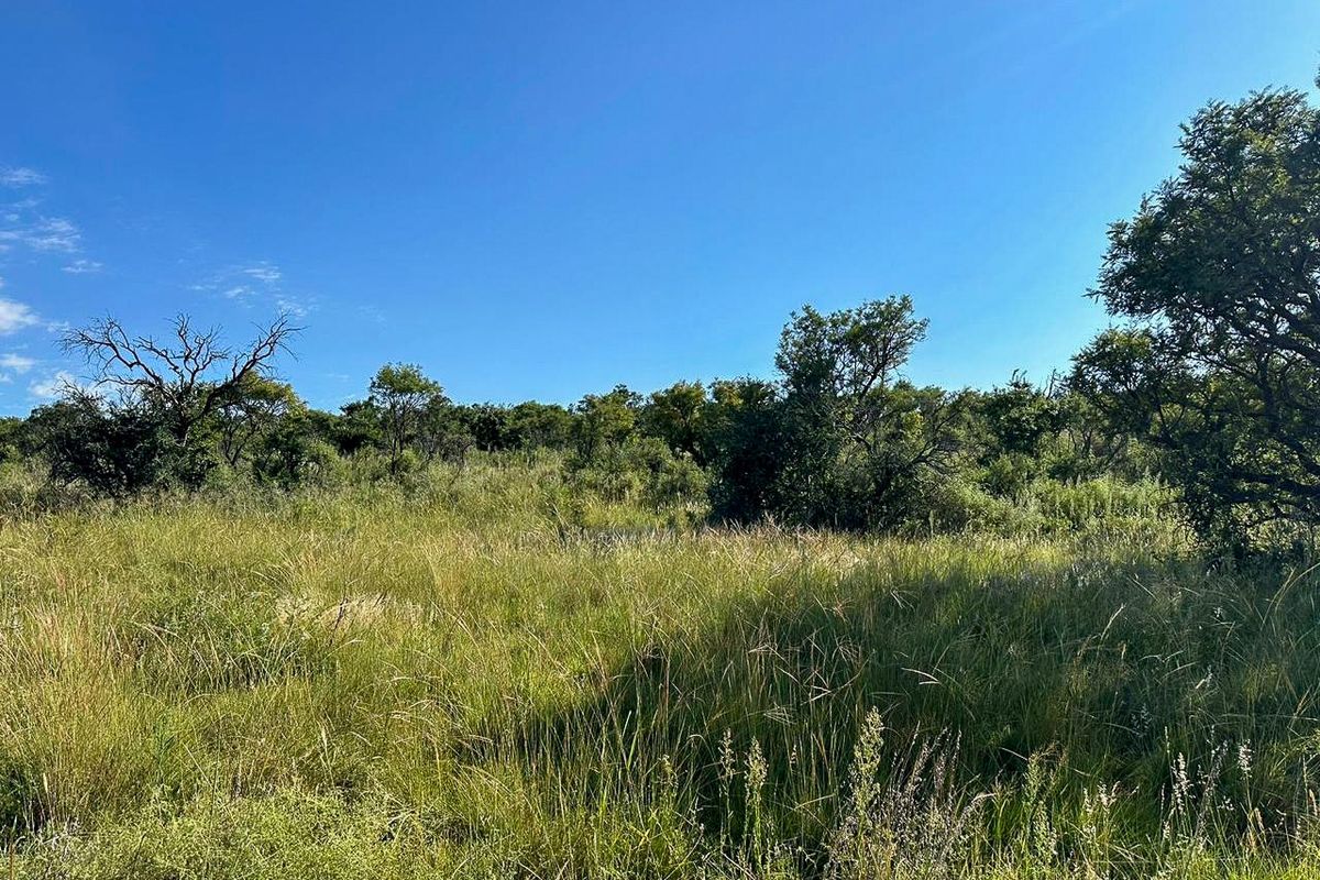 A unique opportunity for a dream home. - Photo 5