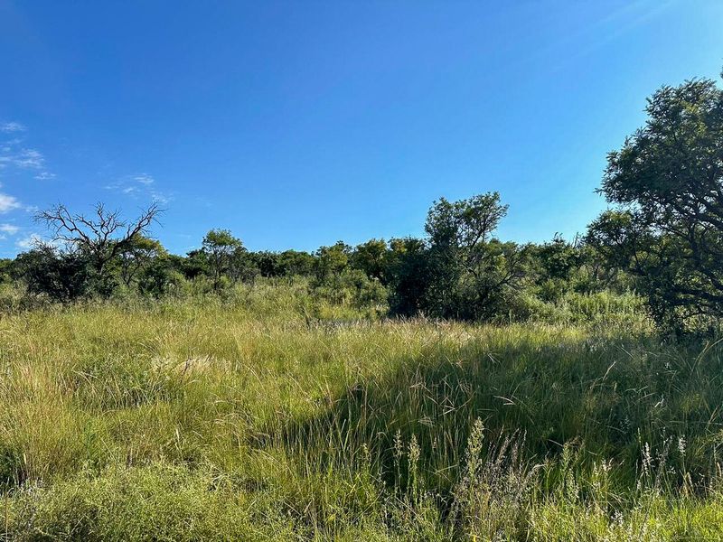 A unique opportunity for a dream home. - Photo 5