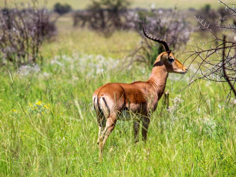 A unique opportunity for a dream home. - Photo 8